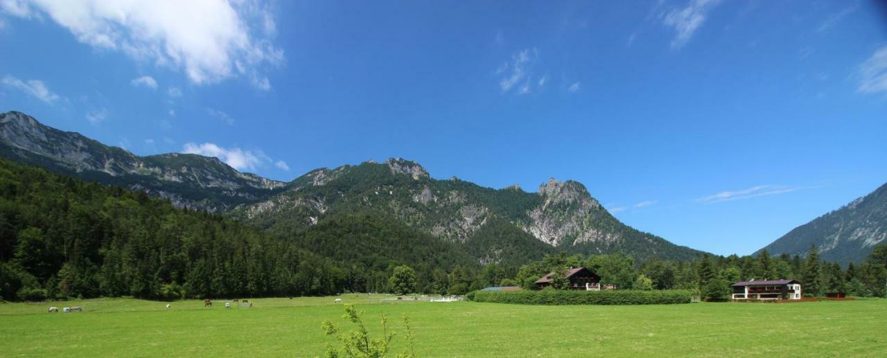 Ferienhaus Gestuet Pfaffenlehen 비쇼프스비에젠 외부 사진